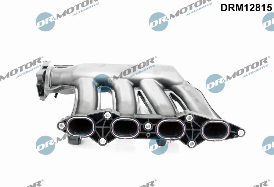 Dr.Motor Automotive DRM12815 - Module de tube d'admission droxauto.com