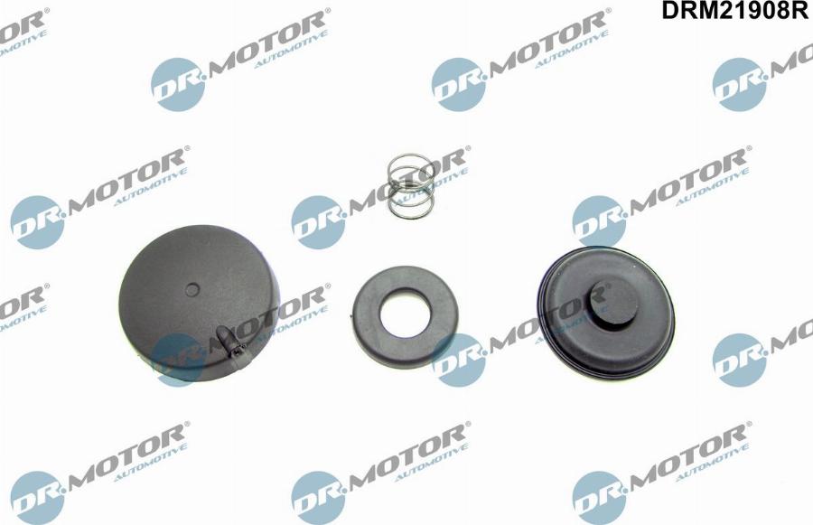 Dr.Motor Automotive DRM21908R - Kit de réparation, ventilation du carter-moteur droxauto.com