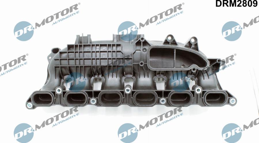 Dr.Motor Automotive DRM2809 - Module de tube d'admission droxauto.com