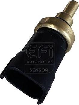 EFI 295098 - Sonde de température, liquide de refroidissement droxauto.com