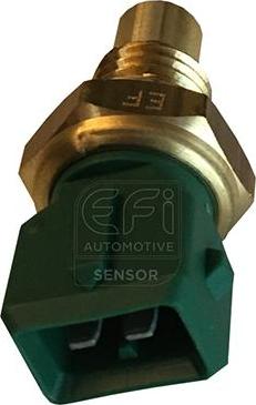 EFI 295009 - Sonde de température, liquide de refroidissement droxauto.com