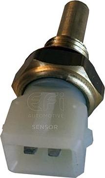 EFI 295002 - Sonde de température, liquide de refroidissement droxauto.com