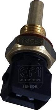 EFI 295011 - Sonde de température, liquide de refroidissement droxauto.com