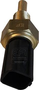 EFI 295089 - Sonde de température, liquide de refroidissement droxauto.com