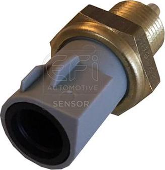 EFI 295085 - Sonde de température, liquide de refroidissement droxauto.com