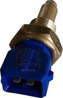 EFI 295038 - Sonde de température, liquide de refroidissement droxauto.com