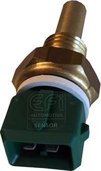 EFI 295079 - Sonde de température, liquide de refroidissement droxauto.com