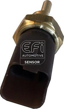 EFI 295141 - Sonde de température, liquide de refroidissement droxauto.com