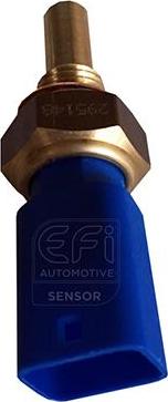 EFI 295148 - Sonde de température, liquide de refroidissement droxauto.com