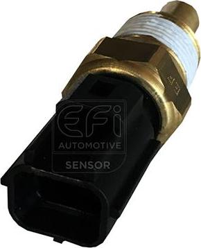 EFI 295159 - Sonde de température, liquide de refroidissement droxauto.com