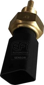 EFI 295150 - Sonde de température, liquide de refroidissement droxauto.com