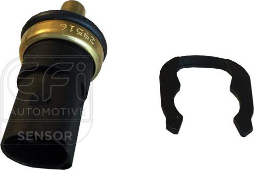 EFI 295163 - Sonde de température, liquide de refroidissement droxauto.com