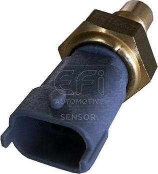 EFI 295132 - Sonde de température, liquide de refroidissement droxauto.com