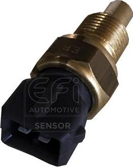EFI 295171 - Sonde de température, liquide de refroidissement droxauto.com
