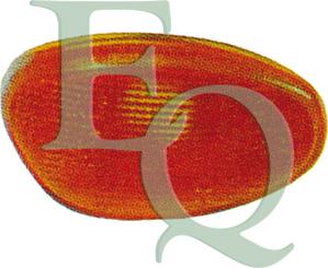 Equal Quality FL0005 - Feu clignotant droxauto.com