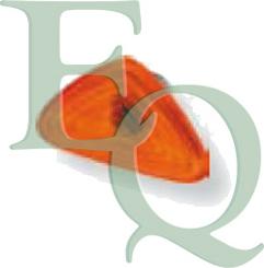 Equal Quality FL0077 - Feu clignotant droxauto.com