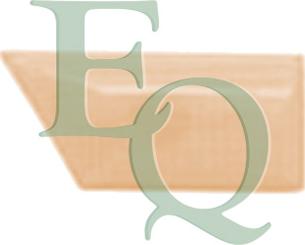 Equal Quality FL0126 - Feu clignotant droxauto.com