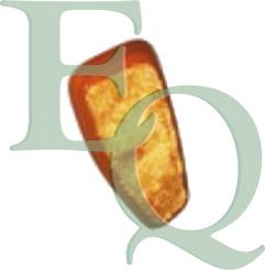 Equal Quality FL0714 - Feu clignotant droxauto.com