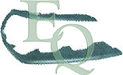 Equal Quality M0446 - Enjoliveur, projecteur principal droxauto.com