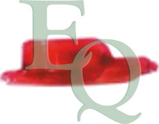 Equal Quality RN0242 - Feu antibrouillard arrière droxauto.com