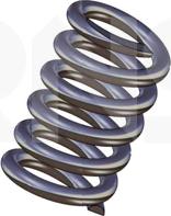 ERNST 493666 - Ressort, silencieux droxauto.com