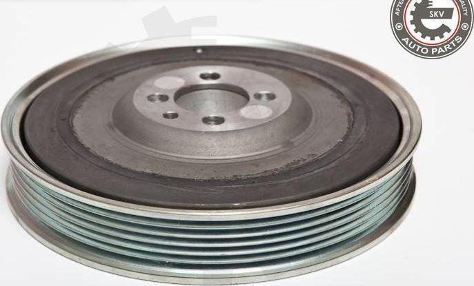 Esen SKV 95SKV308 - Poulie, vilebrequin droxauto.com