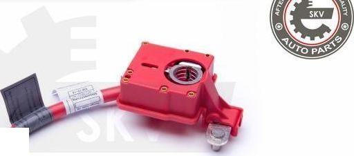 Esen SKV 96SKV309 - Adaptateur de batterie droxauto.com