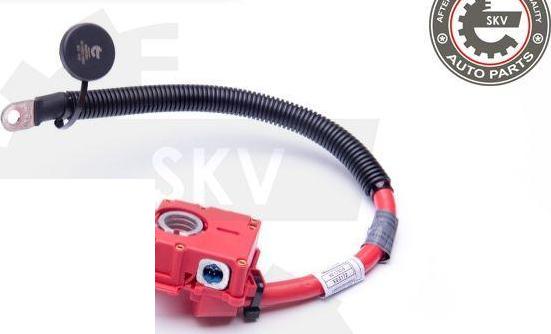 Esen SKV 96SKV304 - Adaptateur de batterie droxauto.com