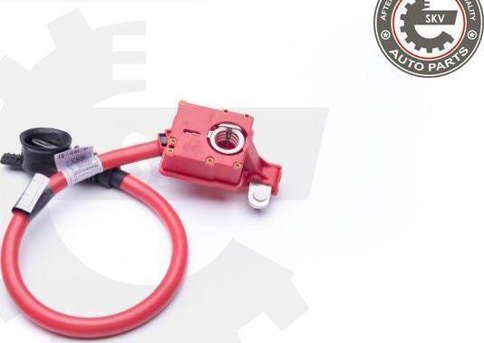 Esen SKV 96SKV301 - Adaptateur de batterie droxauto.com