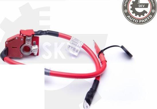 Esen SKV 96SKV303 - Adaptateur de batterie droxauto.com
