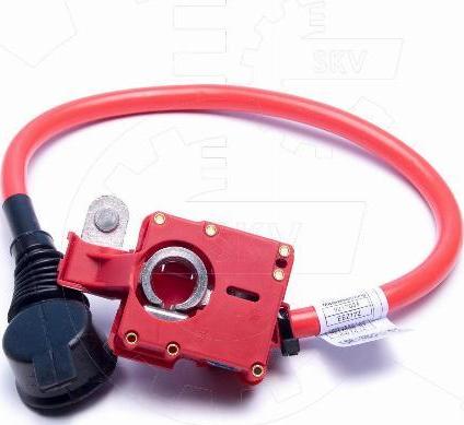 Esen SKV 96SKV311 - Adaptateur de batterie droxauto.com