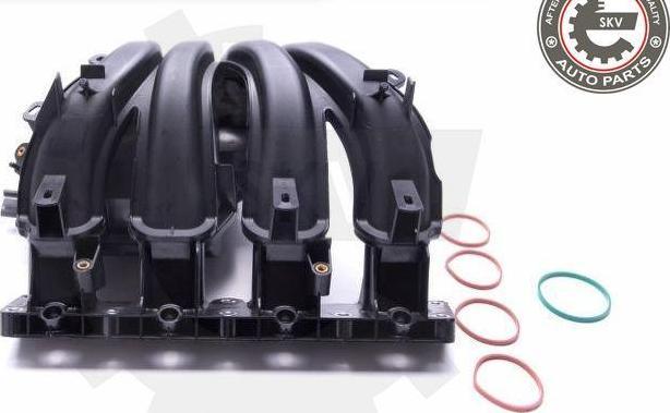 Esen SKV 49SKV042 - Module de tube d'admission droxauto.com