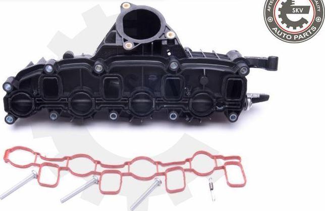 Esen SKV 49SKV007 - Module de tube d'admission droxauto.com