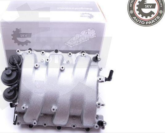 Esen SKV 49SKV013 - Module de tube d'admission droxauto.com
