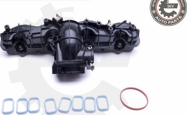 Esen SKV 49SKV033 - Module de tube d'admission droxauto.com