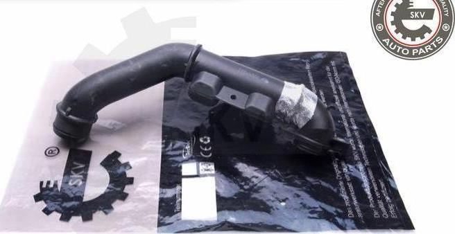 Esen SKV 43SKV317 - Gaine de suralimentation droxauto.com