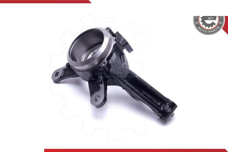 Esen SKV 47SKV691 - Fusée d'essieu, suspension de roue droxauto.com