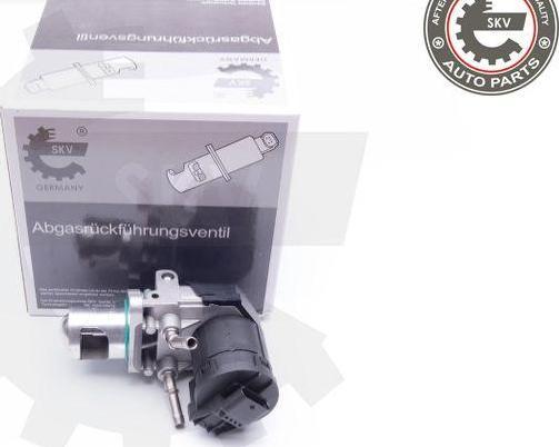Esen SKV 14SKV169 - Vanne EGR droxauto.com