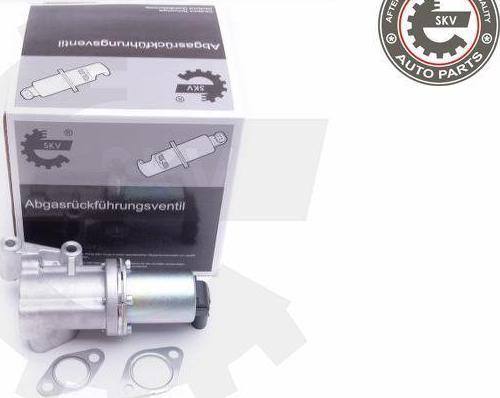 Esen SKV 14SKV211 - Vanne EGR droxauto.com