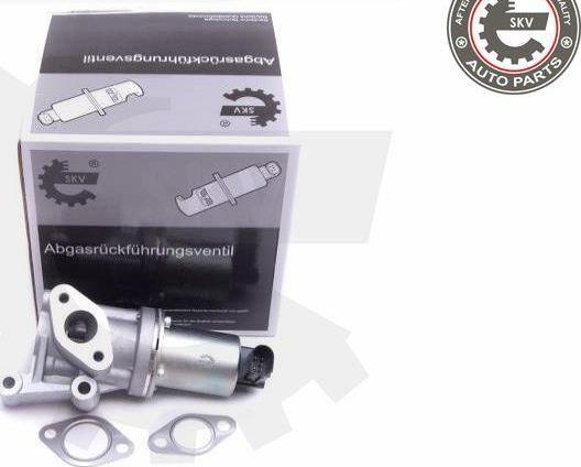 Esen SKV 14SKV213 - Vanne EGR droxauto.com