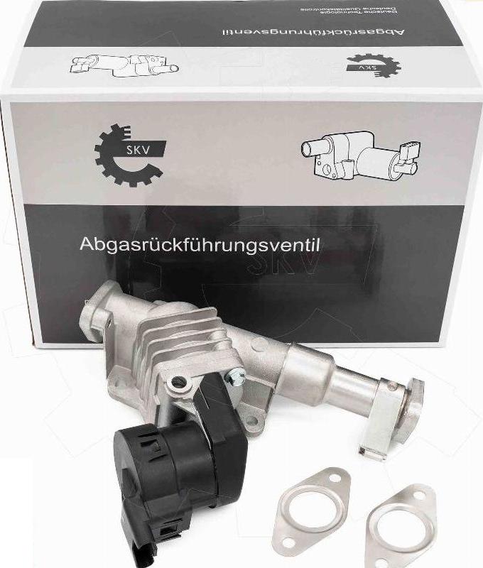 Esen SKV 14SKV287 - Vanne EGR droxauto.com