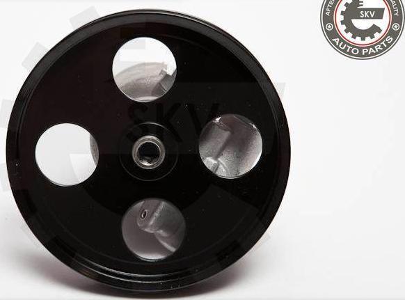 Esen SKV 10SKV069 - Pompe hydraulique, direction droxauto.com