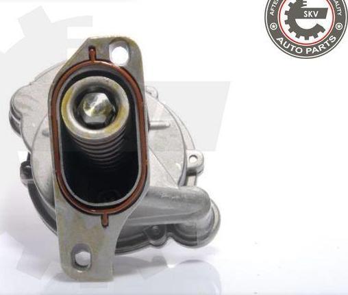 Esen SKV 18SKV005 - Pompe à vide, freinage droxauto.com