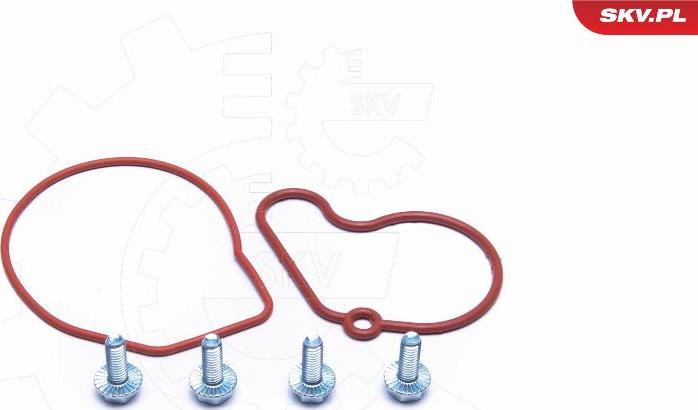 Esen SKV 18SKV807 - Kit de réparation, pompe à vide (freinage) droxauto.com