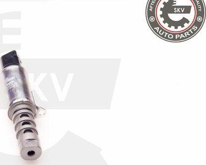 Esen SKV 39SKV010 - Valve de commande, réglage d'arbres à came droxauto.com