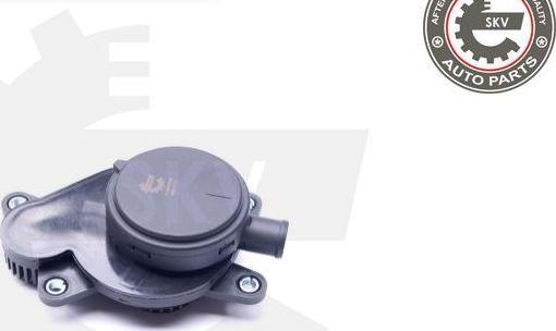 Esen SKV 31SKV059 - Séparateur d'huile, prise de recyclage des gas de carter droxauto.com