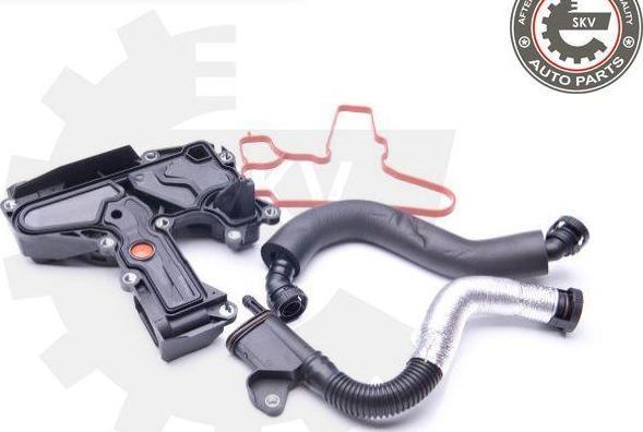 Esen SKV 31SKV008 - Kit de réparation, ventilation du carter-moteur droxauto.com