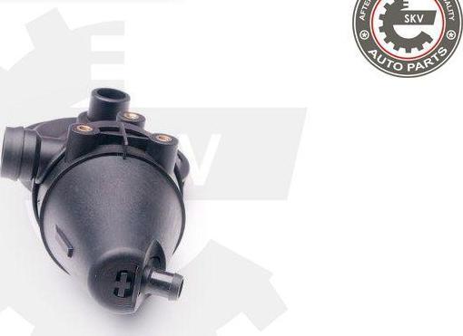 Esen SKV 31SKV039 - Kit de réparation, ventilation du carter-moteur droxauto.com