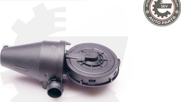 Esen SKV 31SKV038 - Soupape, dégazage du carter droxauto.com