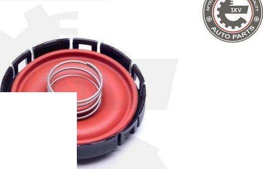Esen SKV 31SKV142 - Diaphragme, ventilation du carter-moteur droxauto.com